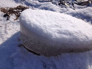 Close-up of frozen tree