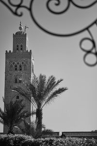 Low angle view of palm tree and building against sky