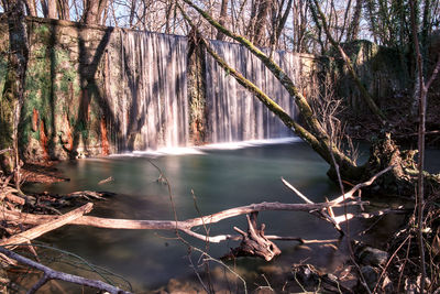 Scenic view of waterfall in forest