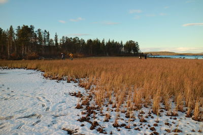 Scenic view of frozen field against sky during winter