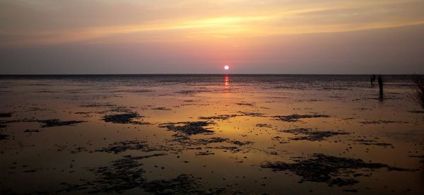 Scenic view of sea during sunset