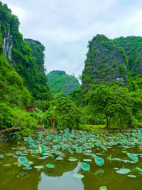 Scenic view of lake and trees against sky