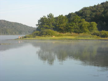 Scenic view of lake by trees against sky