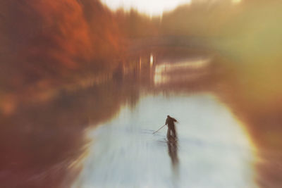 Close-up of insect on lake