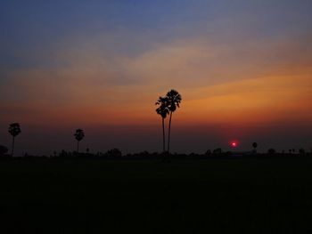 Silhouette trees on field against sky during sunset