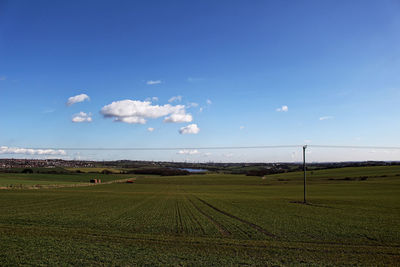 Scenic view of field against blue sky