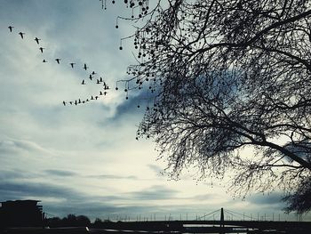 Low angle view of birds against cloudy sky