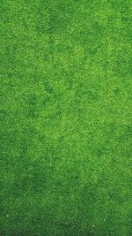 Full frame shot of soccer field