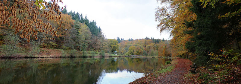 Trees by lake in forest against sky during autumn