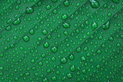 Water drops on banana leaf background