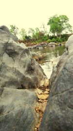 Rocks by trees against clear sky