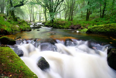 Scenic view of river flowing through rocks