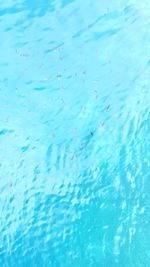 Full frame shot of swimming pool