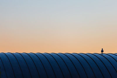 Bird perching on roof against clear sky during sunset