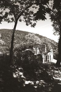 Built structure with trees in background