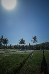 People on grassy field against clear sky