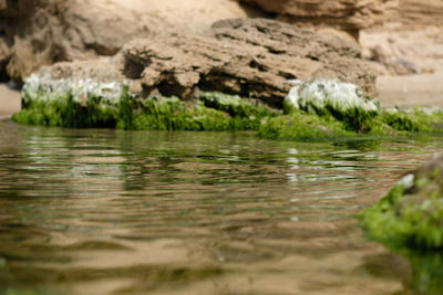 Surface level of lake