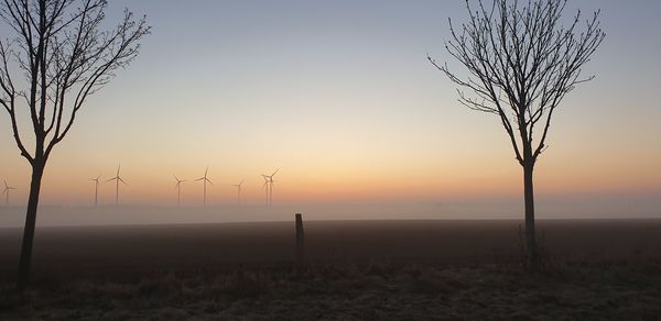 environment