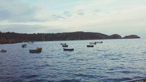 Boats sailing in sea