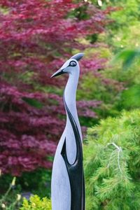 Close-up of a bird