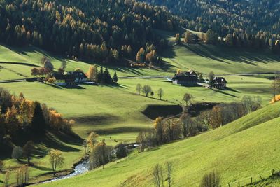 Scenic view of agricultural field