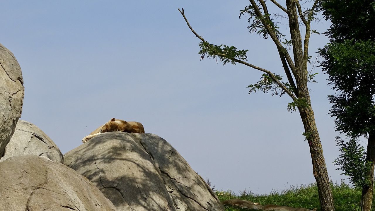 LOW ANGLE VIEW OF A ROCK FORMATION