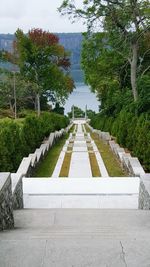 View of trees and grass against sky