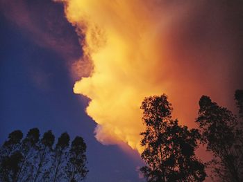 Low angle view of tree against dramatic sky