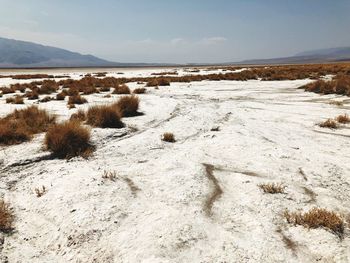 Scenic view of beach against sky