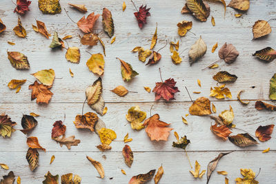 Directly above shot of dry leaves on table