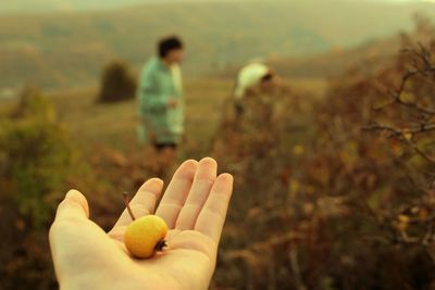 Man holding yellow flower on field