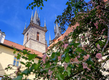 Low angle view of trees and building against sky