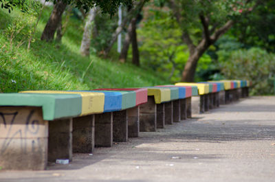 Row of multi colored trees on land