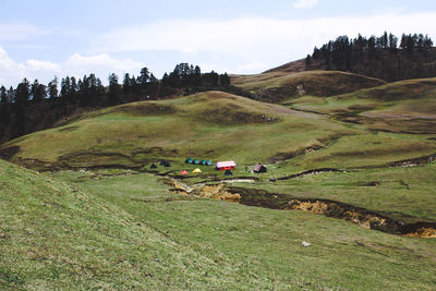 Scenic view of field against sky