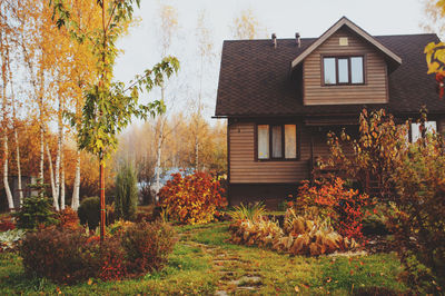 Trees and plants growing outside house in park during autumn