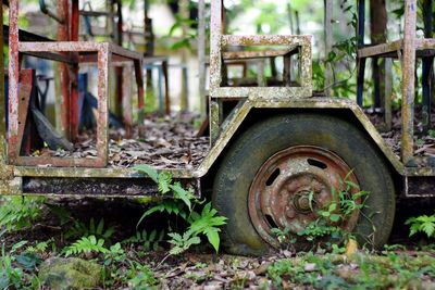 Abandoned train on field