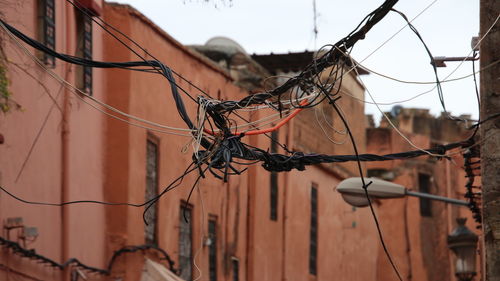 Close-up of powerlines in a tengel 