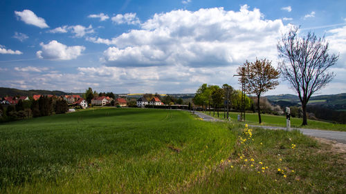 Trees on field against sky