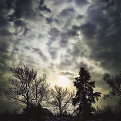 Low angle view of silhouette trees against sky