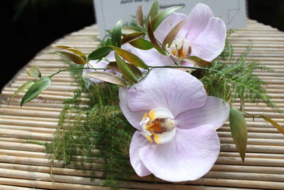 High angle view of orchids on bamboo table