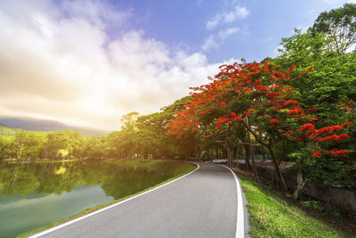 Road amidst flowering plants and trees against sky