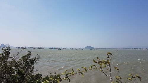 Scenic view of sea against clear sky