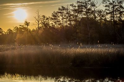 Sunset over lake