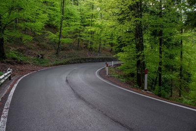 Road amidst trees in forest