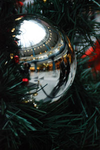 Close-up of christmas decoration
