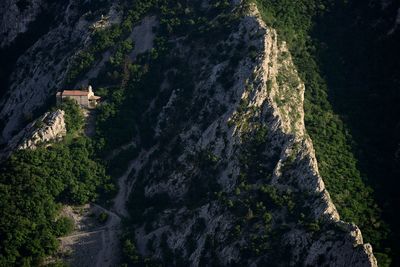 Aerial view of trees on mountain