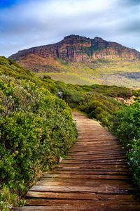 View of dirt road passing through landscape