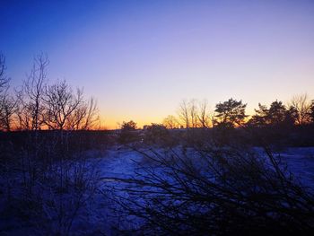 Silhouette bare trees against sky during sunset