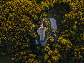 Aerial view of building amidst trees