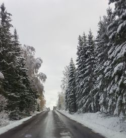 Snow covered road amidst trees against sky